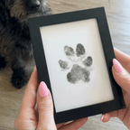 Pawkeeper Kit